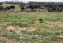 ida Sobre Rodas: A Realidade de uma Família em Santa Fé do Sul.