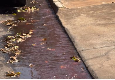 Moradores de Santa Fé do Sul Cobram Ação Urgente Contra o Mau Cheiro e Poluição Causados pelo Frigorífico Brazilian Fish.
