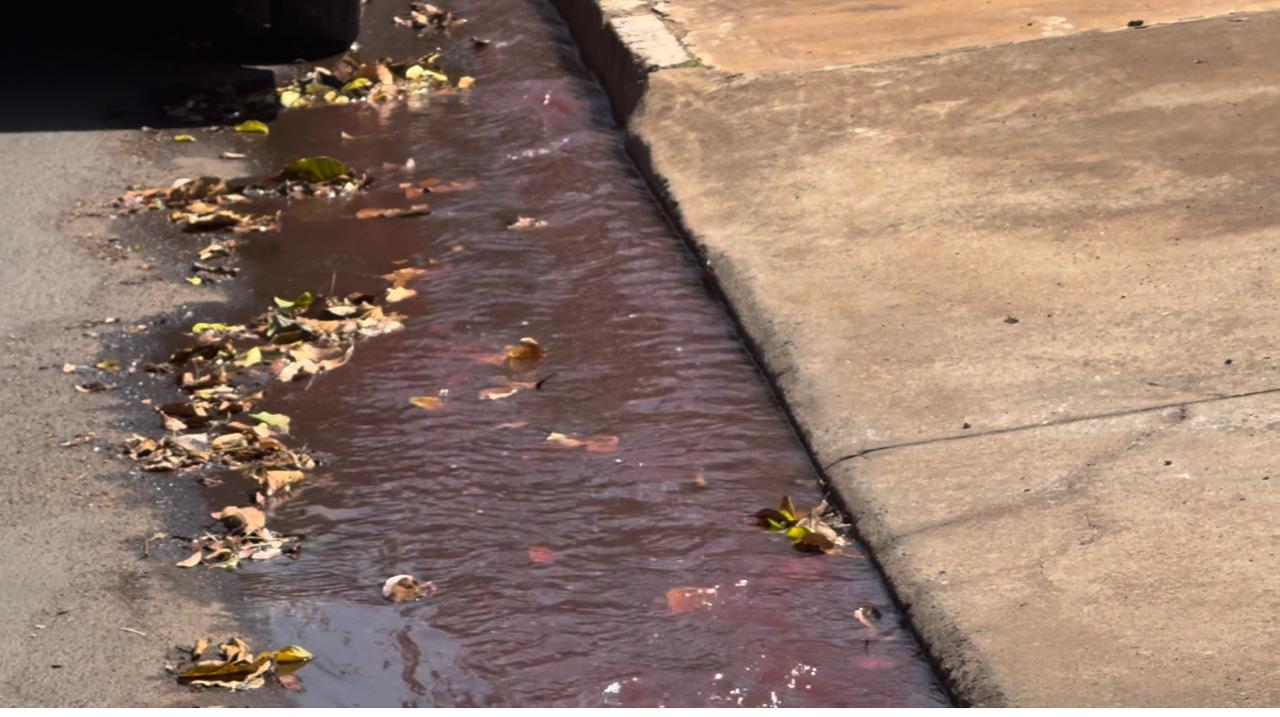 Moradores de Santa Fé do Sul Cobram Ação Urgente Contra o Mau Cheiro e Poluição Causados pelo Frigorífico Brazilian Fish.