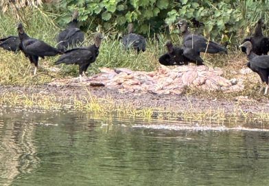 PESCADORES INDGNADOS COM DESCASO DE AUTORIDADES.