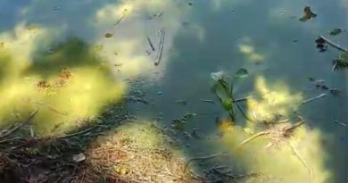 Pisciculturas no rio alarmam população; moradores denunciam degradação e falta de fiscalização