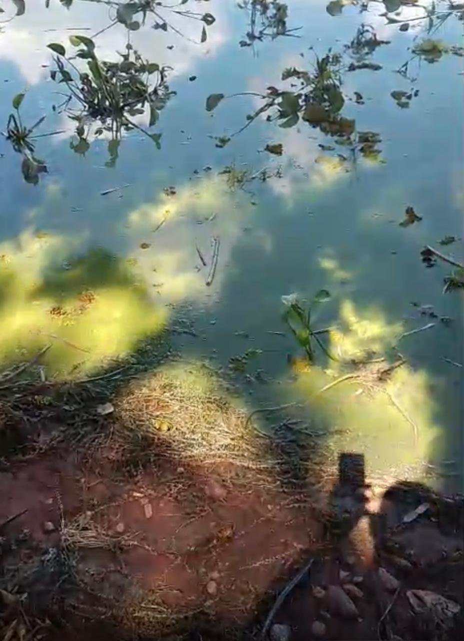 Pisciculturas no rio alarmam população; moradores denunciam degradação e falta de fiscalização