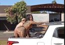 ACAO COM MULHERES SEMINUAS SOBRE CARRO GERA REVOLTA