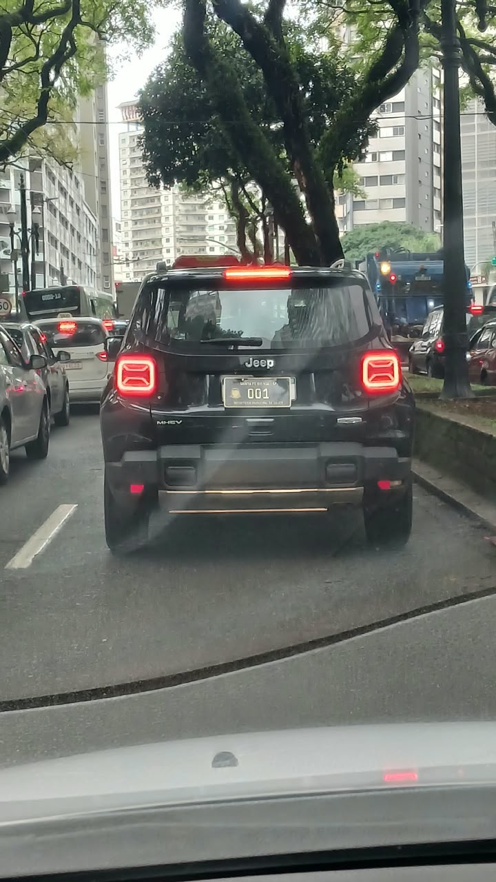Jipe com placa oficial e suposta ligação com Secretaria de Saúde de Santa Fé do Sul é visto em São Paulo